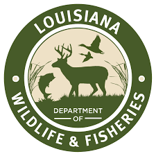 LOUISIANA DEPARTMENT OF WILDLIFE AND FISHERIES SLOWLY LIFTS LONG-STANDING OYSTER LEASE MORATORIUM